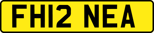 FH12NEA
