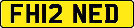 FH12NED