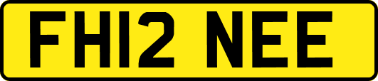 FH12NEE