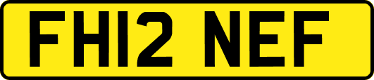 FH12NEF