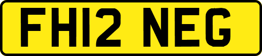 FH12NEG
