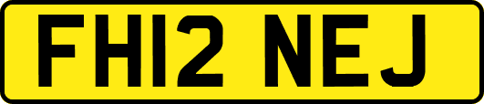 FH12NEJ