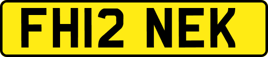 FH12NEK