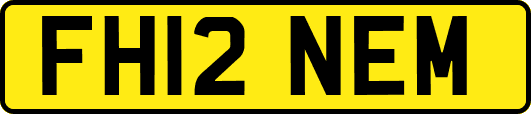 FH12NEM