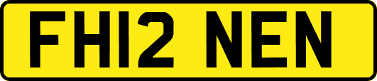 FH12NEN