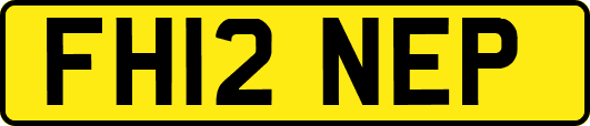 FH12NEP