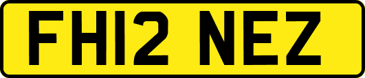 FH12NEZ
