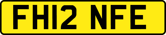 FH12NFE
