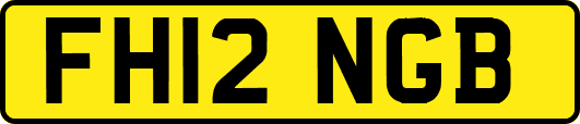 FH12NGB