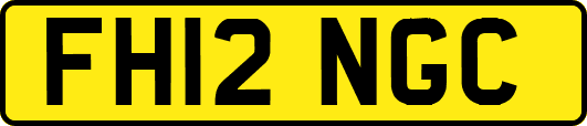 FH12NGC