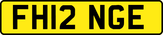 FH12NGE
