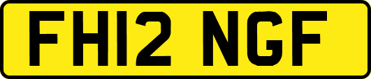 FH12NGF