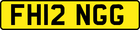 FH12NGG