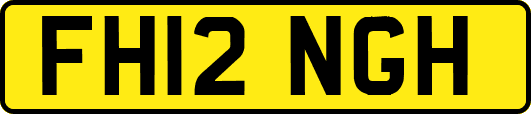 FH12NGH