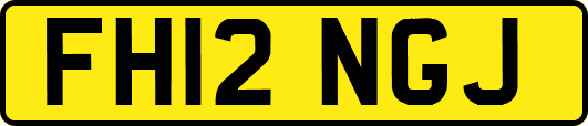 FH12NGJ