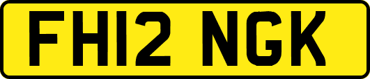 FH12NGK