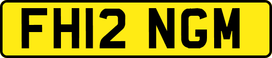FH12NGM