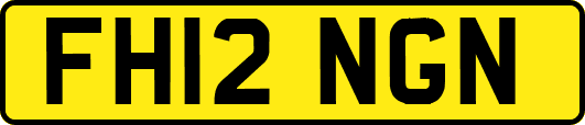 FH12NGN
