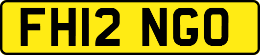 FH12NGO
