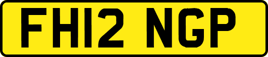 FH12NGP