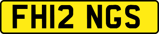 FH12NGS