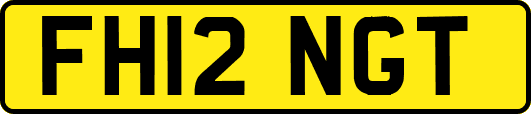 FH12NGT