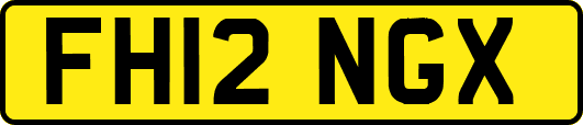 FH12NGX