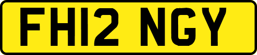 FH12NGY