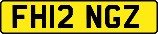 FH12NGZ