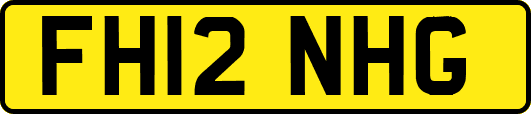 FH12NHG