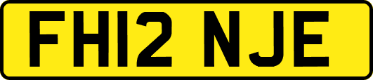FH12NJE