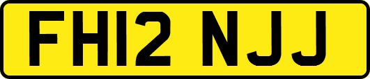 FH12NJJ
