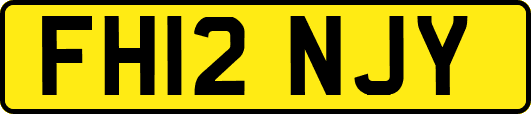 FH12NJY