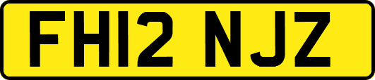 FH12NJZ