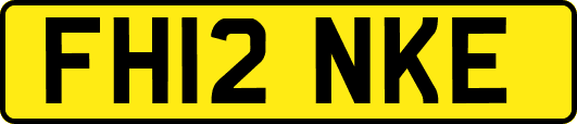 FH12NKE