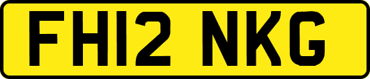 FH12NKG