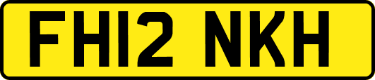 FH12NKH