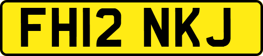 FH12NKJ