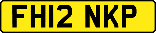 FH12NKP