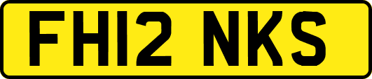 FH12NKS