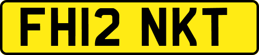 FH12NKT