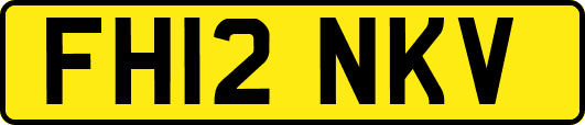 FH12NKV