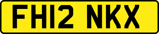 FH12NKX