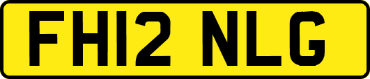 FH12NLG