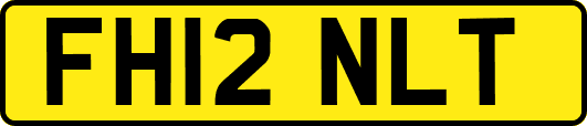 FH12NLT