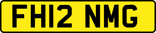 FH12NMG