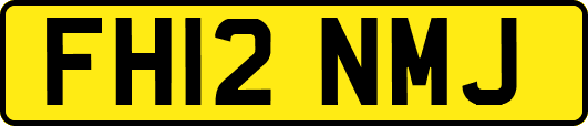 FH12NMJ