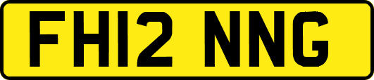 FH12NNG