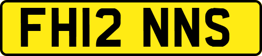 FH12NNS