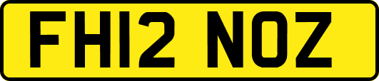 FH12NOZ